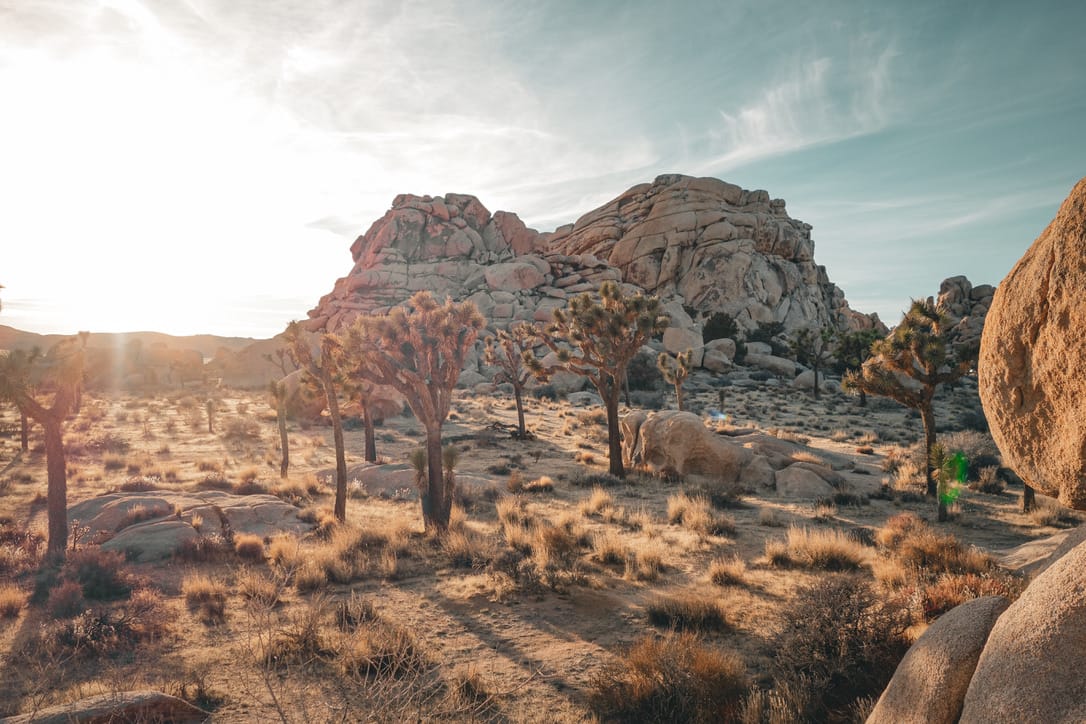 Joshua Tree National Park